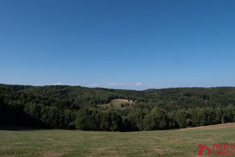 P1300550-min.jpg