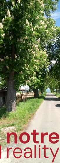 IMG_5438.jpg